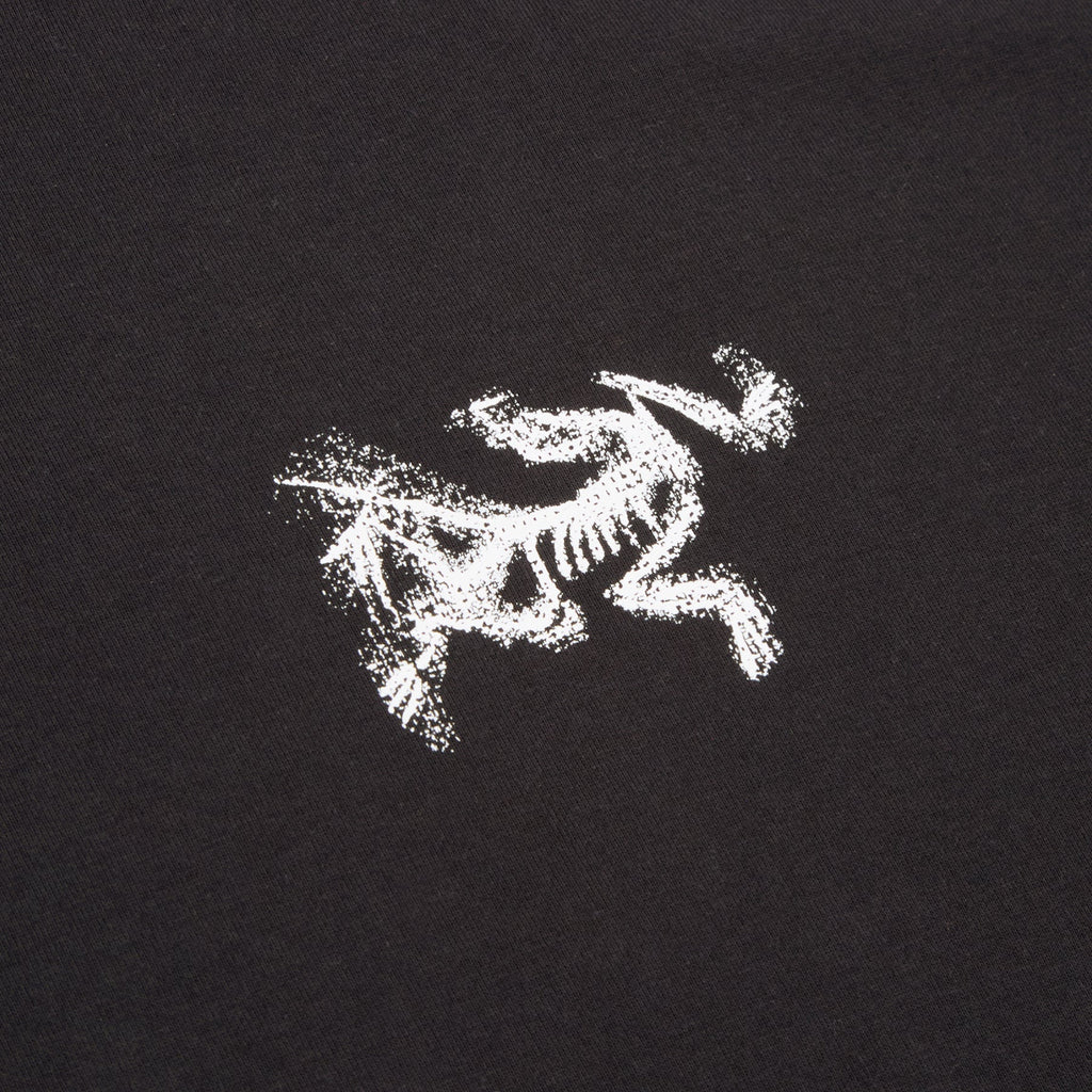 Arc'teryx Kragg SL Cotton Bird Tile LS M (Black / Arctic Silk)